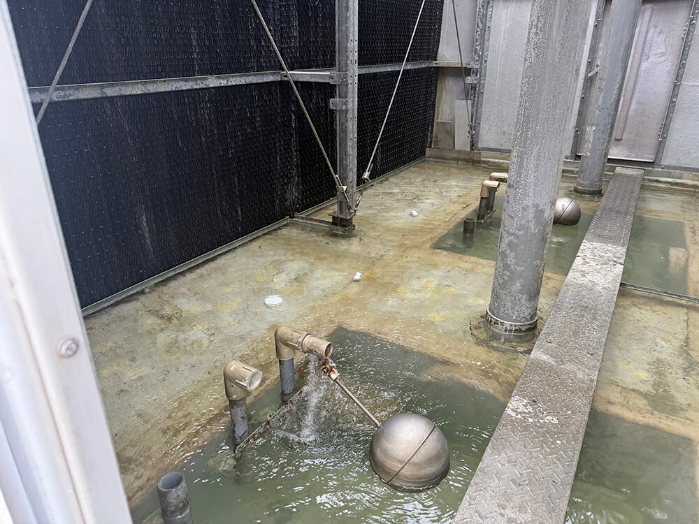 水塔內部無青苔
